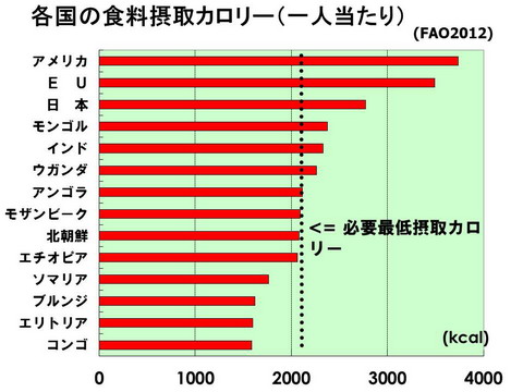 世界の食料問題 世界の食料問題 - 愛の星プロジェクト